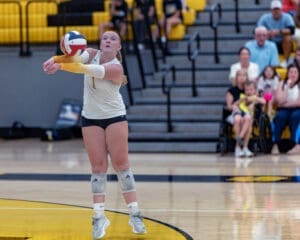 A volleyball player serves during a match, focused on the ball with fans in the background cheering.