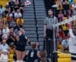 Volleyball player serves a ball during a game, with a referee overseeing the match and spectators in the background.