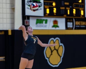Female volleyball player prepares to serve during a match, showcasing athleticism in a gym with vibrant team colors.