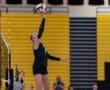 Volleyball player serving the ball during a match, with spectators and a referee in the background.
