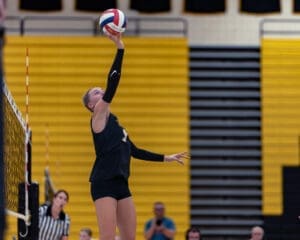 Volleyball player serving the ball during a match, with spectators and a referee in the background.