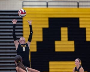 Volleyball player sets the ball high during a match, teammates positioned and ready, school colors in the background.