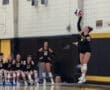 Volleyball player serving the ball during a game, with teammates observing on the bench in the background.