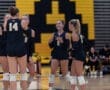 Team members celebrating during a volleyball match, showcasing teamwork and enthusiasm on the court.