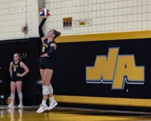 Volleyball player serves the ball during a game, showcasing athleticism and team spirit in a competitive setting.