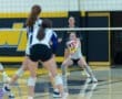 Volleyball players in a match, focusing on a player preparing to receive the ball at the net in a gym setting.