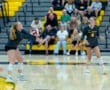 High school volleyball players in action, with one setting up a pass as fans watch in the background.