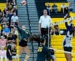 Volleyball player spikes the ball over the net as spectators cheer in a vibrant sports arena.