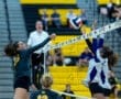 Volleyball players compete at the net, with one attempting to spike the ball over while opponents block.