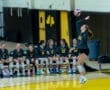 Volleyball player #23 jumps to serve the ball, with teammates cheering from the bench in a dynamic gym setting.