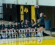 Volleyball player jumps to serve during a match, with teammates cheering from the sidelines in a gymnasium.