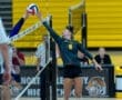 High school volleyball player leaps to spike the ball over the net during a match, showcasing athleticism and teamwork.