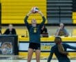 Volleyball player sets the ball during a match, with teammates and coaches visible in the background.
