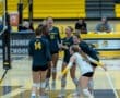 High school volleyball team celebrating a point during a match, showcasing teamwork and excitement in action.