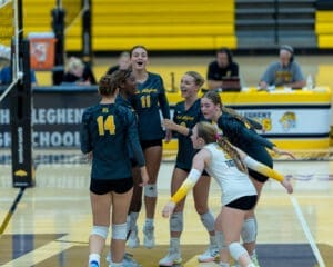 High school volleyball team celebrating a point during a match, showcasing teamwork and excitement in action.