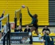 High school volleyball player jumping to spike the ball over the net during a match at North Allegheny High School.