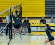Volleyball player jumps to set the ball during a match at North Albany High School. Spectators and players in the background.
