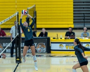 Volleyball player jumps to set the ball during a match at North Albany High School. Spectators and players in the background.