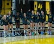 Excited volleyball team celebrating on the sidelines during a match, showcasing team spirit and athleticism.