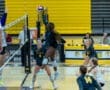 Volleyball match scene: player spikes the ball over the net with teammates preparing in the background.