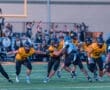 High school football players in yellow and black uniforms tackle an opponent on the field during a game at dusk.
