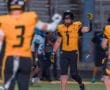Wofford football player celebrates a play during a night game, wearing a yellow jersey and black helmet on the field.