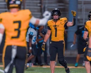 Wofford football player celebrates a play during a night game, wearing a yellow jersey and black helmet on the field.
