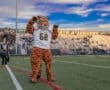 North Allegheny mascot in a tiger costume performing at a football game with fans and band visible in the background.
