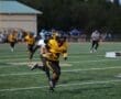 Story: North Allegheny defeated by Woodland Hills, 33-25