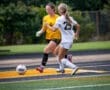 Goalkeeper in yellow defends against an opponent in white during a soccer match, with a ball in play on the field.