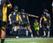 Soccer players celebrate a goal under stadium lights, showcasing teamwork and excitement on the field.