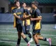 High school soccer players celebrating a goal during a night game on a turf field, wearing black and yellow uniforms.