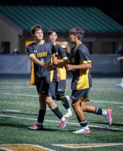 High school soccer players celebrating a goal during a night game on a turf field, wearing black and yellow uniforms.