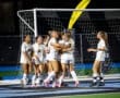 Soccer team celebrating a goal under stadium lights, showcasing teamwork and excitement on the field.