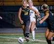 Female soccer players in action during a match, one dribbling the ball while others run behind on a lit field.