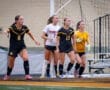 Female soccer players on the field, preparing for a play during a competitive match. Goalkeeper in focus.