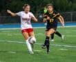 Two female soccer players compete for the ball on a grass field during a match, showcasing athleticism and sportsmanship.