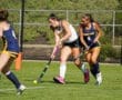 Field hockey players compete for the ball during an intense match on a sunny day at the sports field.
