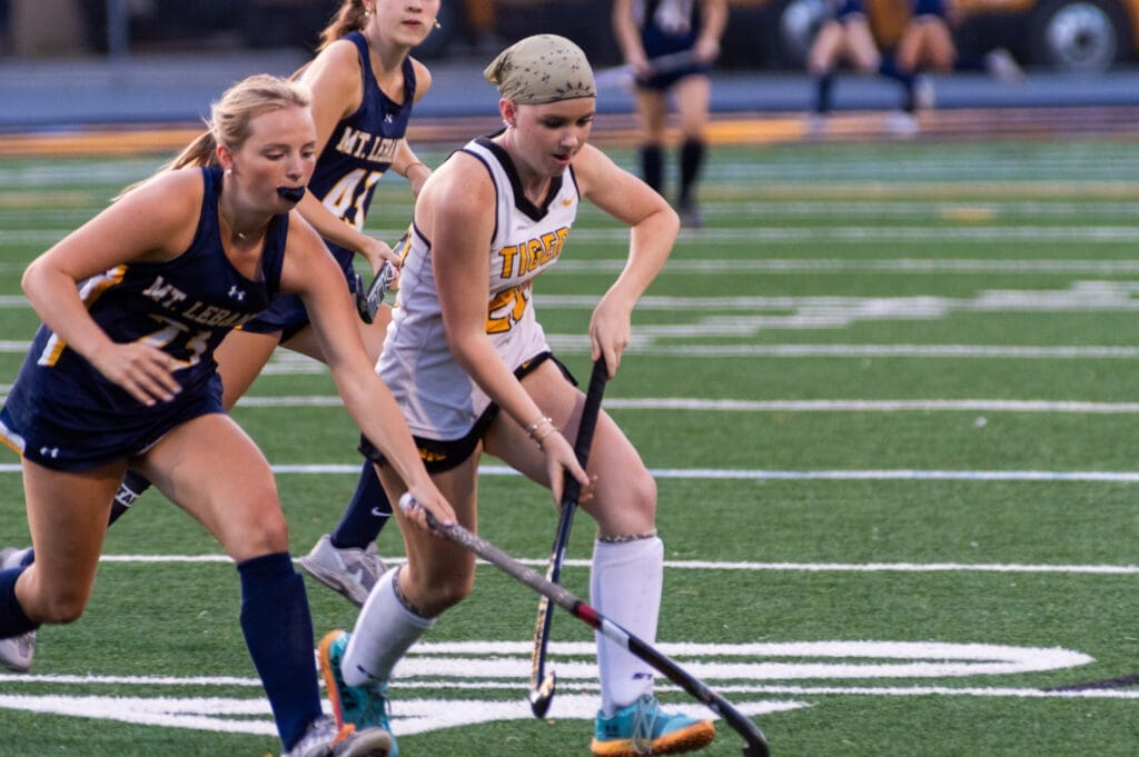 IMGP4386