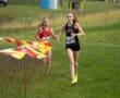 Story: Tigers Participate In PIAA Foundation Meet
