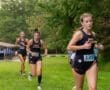 Story: Tigers battle the heat at Peterswood Park