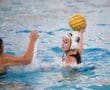 Story: Tigers compete at Beast of the East Tournament