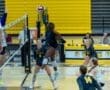 Story: North Allegheny falls to Peters Township in non-section action