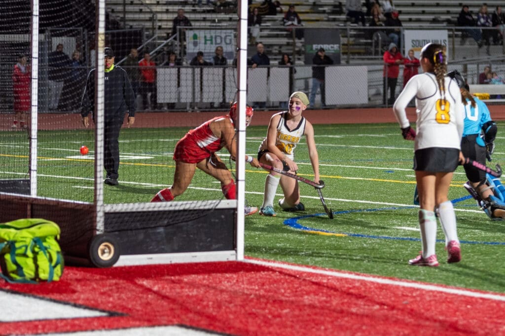 IMGP9798