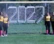 Story: Tigers honor senior class against Montour