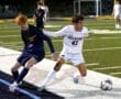 Story: North Allegheny blanks Blue Devils to reach WPIAL Semifinals