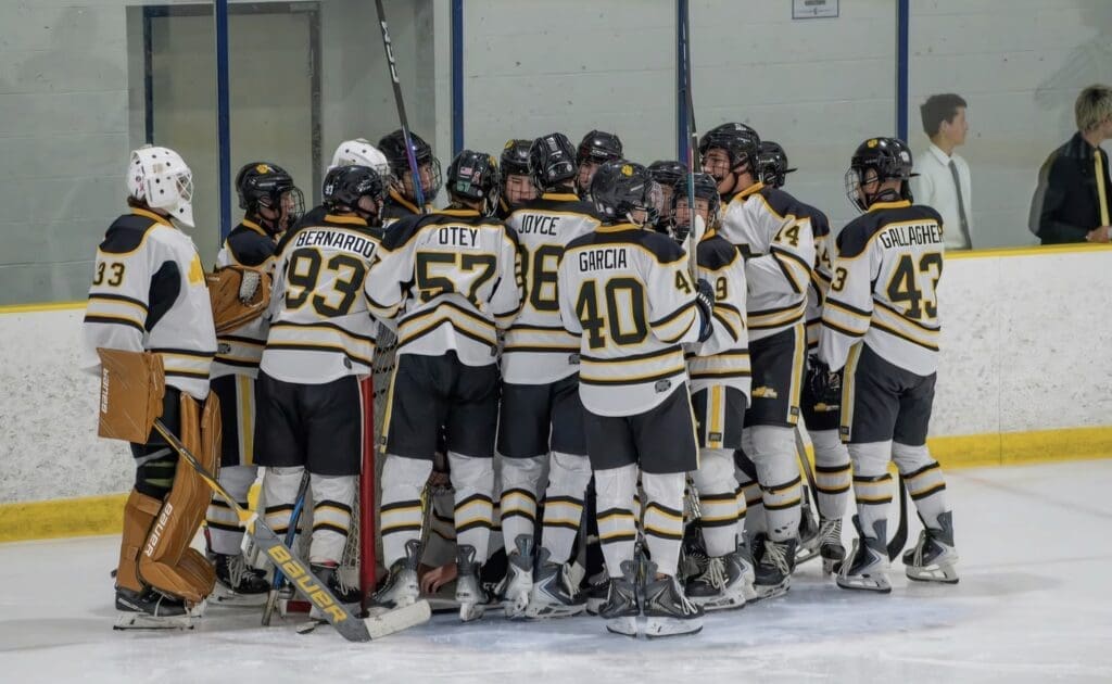 Ice Hockey: Tiger Comeback Falls Short To Raiders