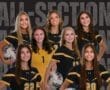Story: Seven Tigers Named To WPIAL All-Section Girls Soccer Team