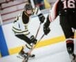 Story: Tigers Trample Lions In Road Victory