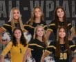 Story: Six Tigers Named To All-WPIAL Team